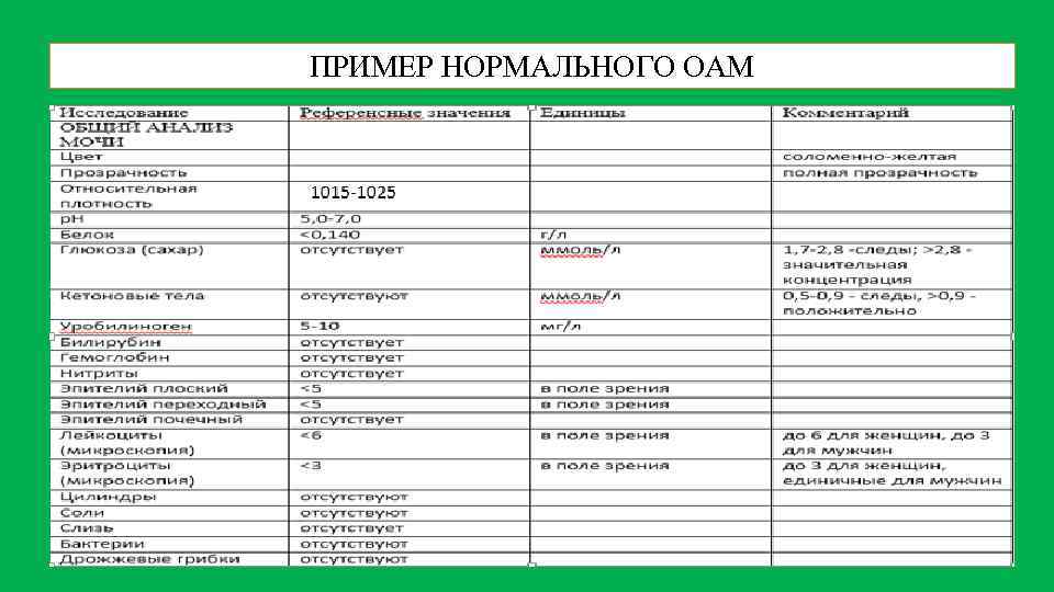 ПРИМЕР НОРМАЛЬНОГО ОАМ 