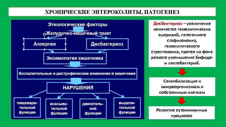 Патогенез хронического. Патогенез хронического энтероколита. Патогенез хронического энтерита. Острый энтерит этиология. Патогенез хронического энтерита схема.