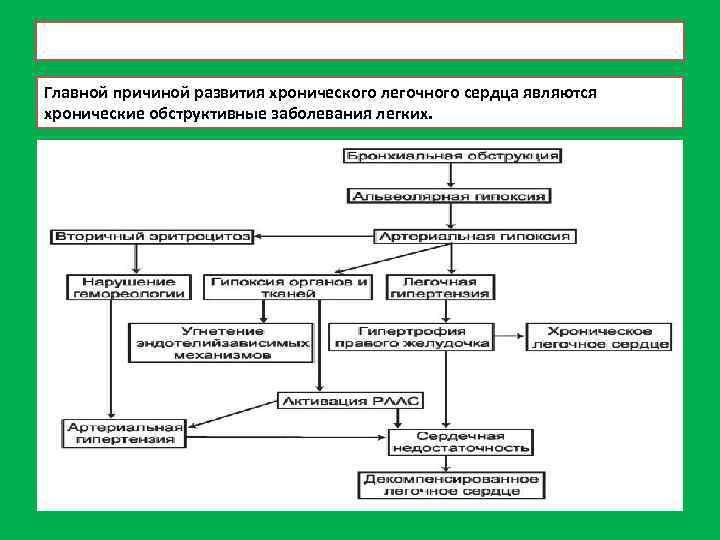 Главной причиной развития хронического легочного сердца являются хронические обструктивные заболевания легких. 