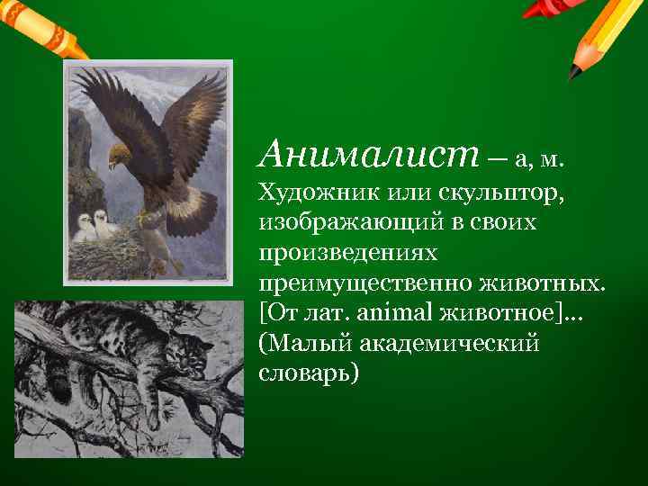 Анималист — а, м. Художник или скульптор, изображающий в своих произведениях преимущественно животных. [От