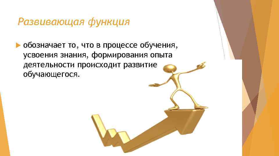 Развивающая функция обозначает то, что в процессе обучения, усвоения знания, формирования опыта деятельности происходит