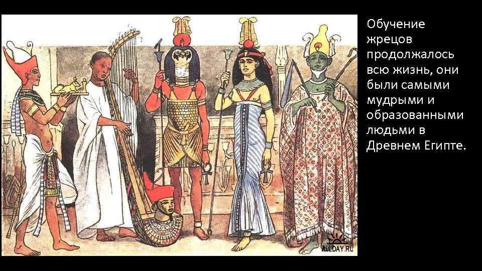 Обучение жрецов продолжалось всю жизнь, они были самыми мудрыми и образованными людьми в Древнем