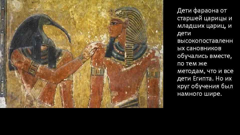 Дети фараона от старшей царицы и младших цариц, и дети высокопоставленн ых сановников обучались