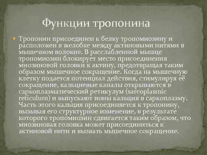 Функции тропонина Тропонин присоединен к белку тропомиозину и расположен в желобке между актиновыми нитями