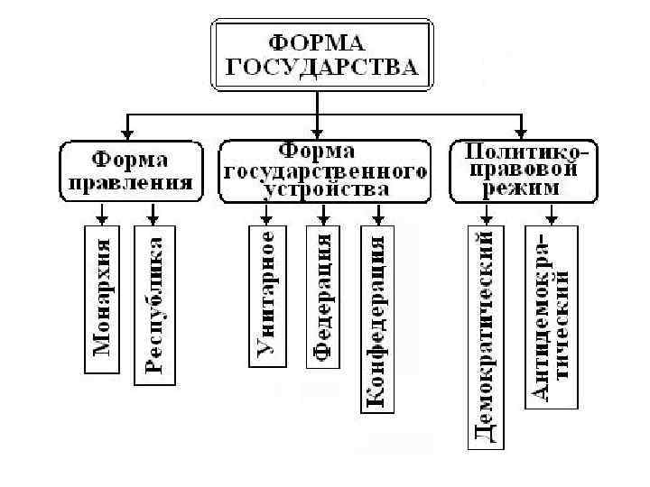 Виды действия обществознание