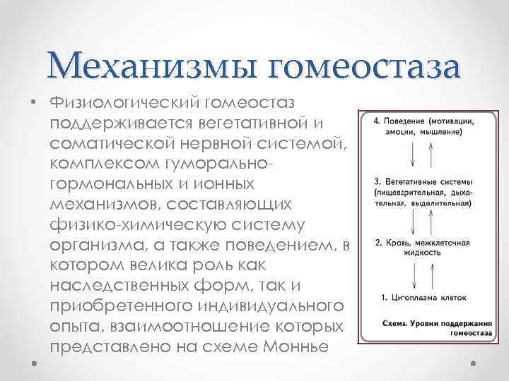 Механизмы гомеостаза • Физиологический гомеостаз поддерживается вегетативной и соматической нервной системой, комплексом гуморальногормональных и