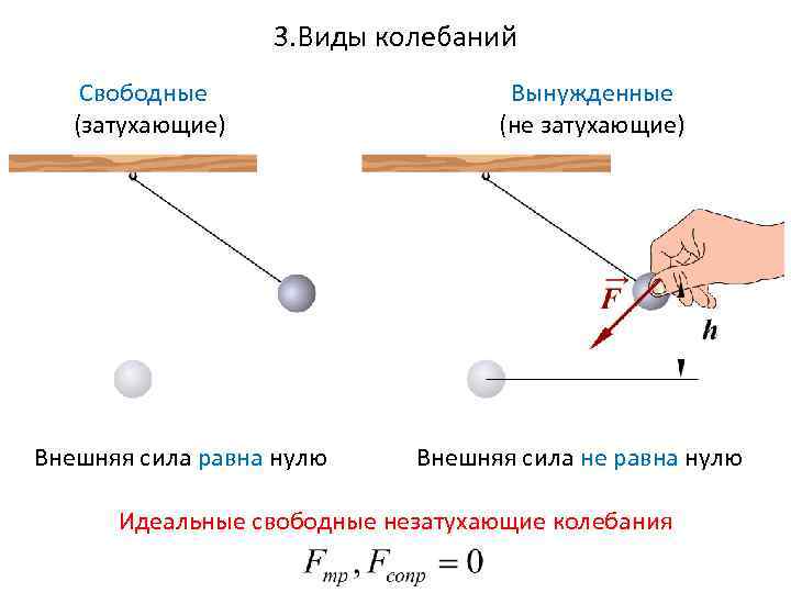 3. Виды колебаний Свободные (затухающие) Внешняя сила равна нулю Вынужденные (не затухающие) Внешняя сила