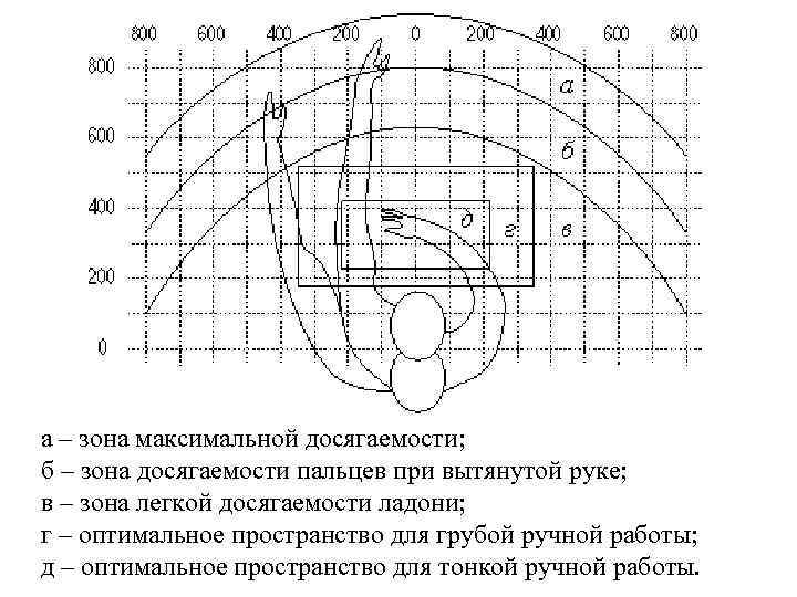 а – зона максимальной досягаемости; б – зона досягаемости пальцев при вытянутой руке; в