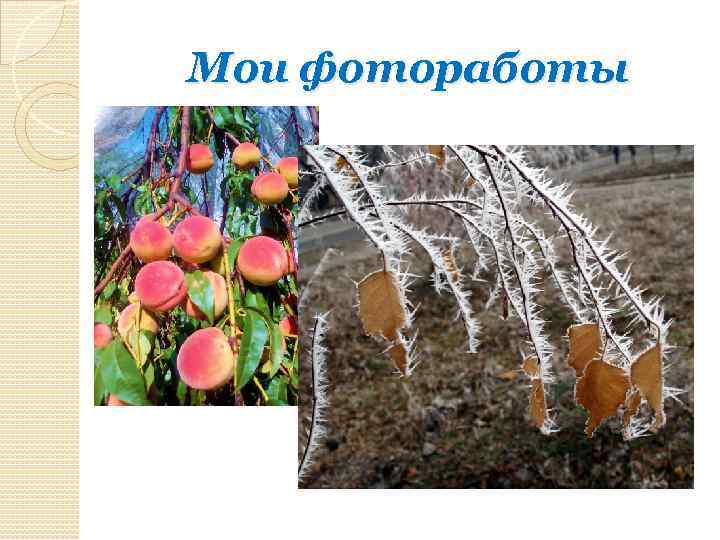 Мои фотоработы 