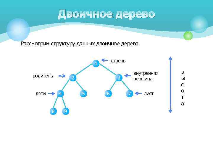Двоичное дерево Рассмотрим структуру данных двоичное дерево корень 1 родитель дети 2 4 8