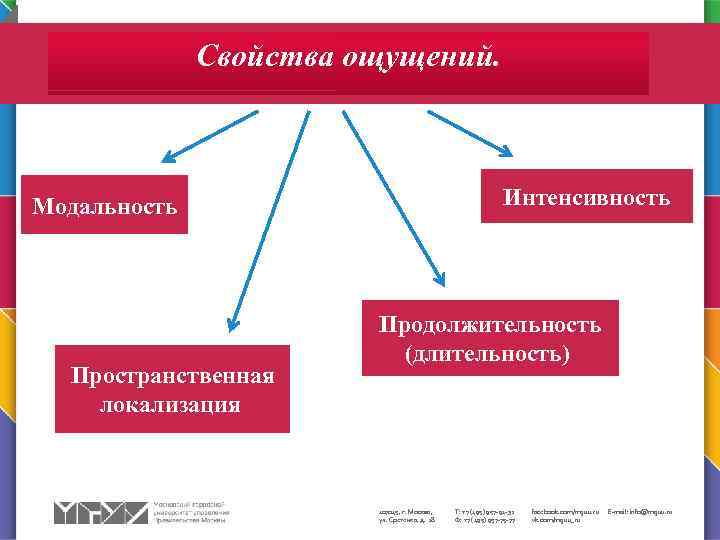 Свойства ощущений. Интенсивность Модальность Пространственная локализация Продолжительность (длительность) 107045, г. Москва, ул. Сретенка, д.