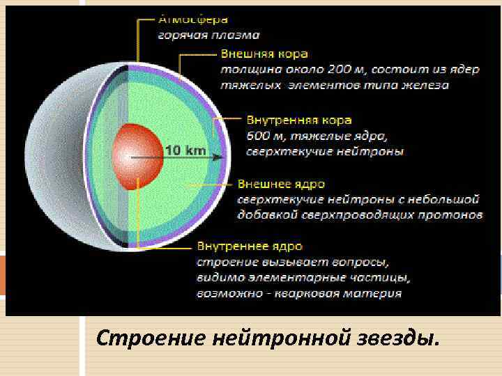 Строение нейтронной звезды. 