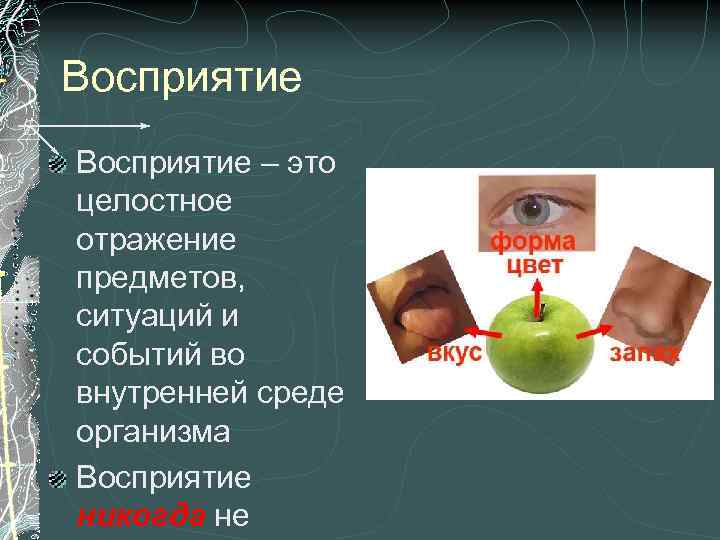 Восприятие – это целостное отражение предметов, ситуаций и событий во внутренней среде организма Восприятие