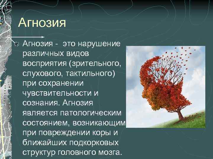 Агнозия - это нарушение различных видов восприятия (зрительного, слухового, тактильного) при сохранении чувствительности и