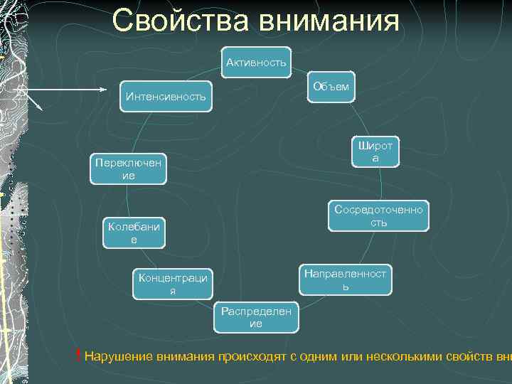 Свойства внимания Активность Объем Интенсивность Широт а Переключен ие Сосредоточенно сть Колебани е Направленност