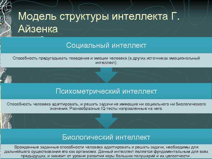 Уровни социального интеллекта