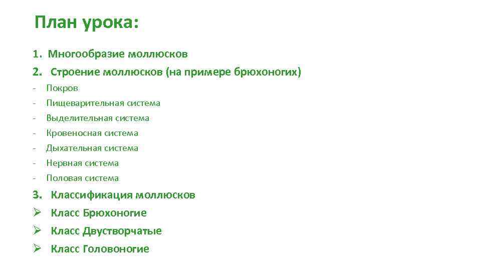 План урока: 1. Многообразие моллюсков 2. Строение моллюсков (на примере брюхоногих) - 3. Ø