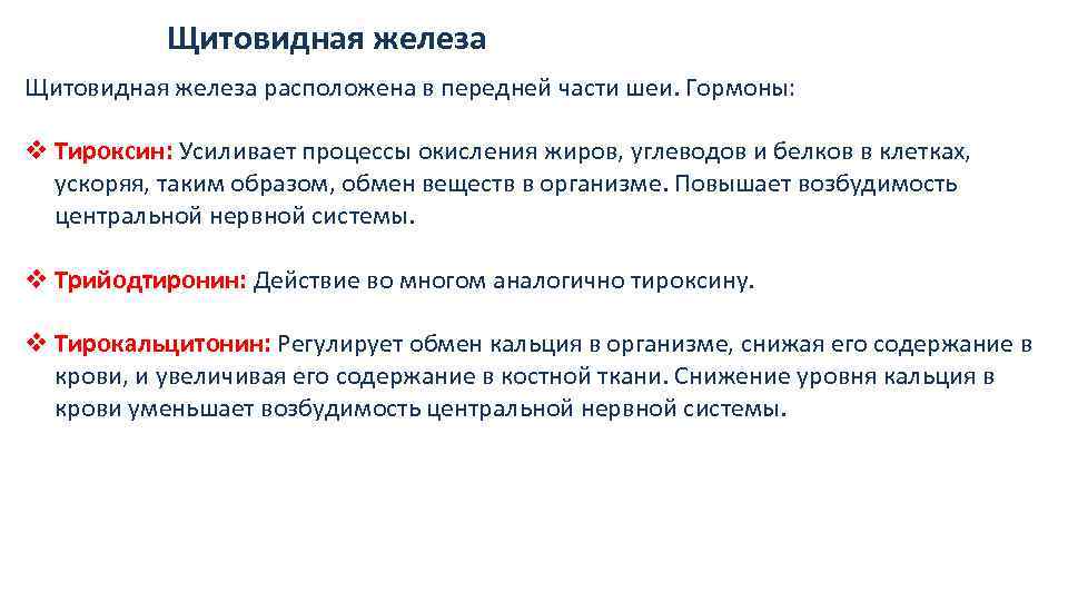 Щитовидная железа расположена в передней части шеи. Гормоны: v Тироксин: Усиливает процессы окисления жиров,