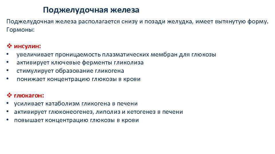 Поджелудочная железа располагается снизу и позади желудка, имеет вытянутую форму. Гормоны: v инсулин: •