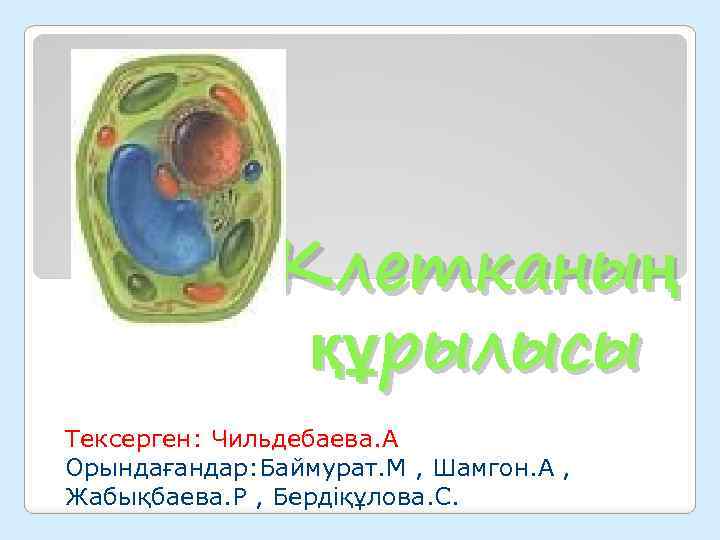 Клетканың құрылысы Тексерген: Чильдебаева. А Орындағандар: Баймурат. М , Шамгон. А , Жабықбаева. Р