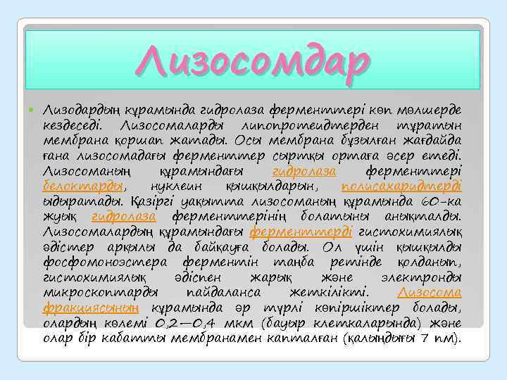 Лизосомдар Лизодардың кұрамында гидролаза ферменттері көп мөлшерде кездеседі. Лизосомаларды липопротеидтерден тұратын мембрана қоршап жатады.