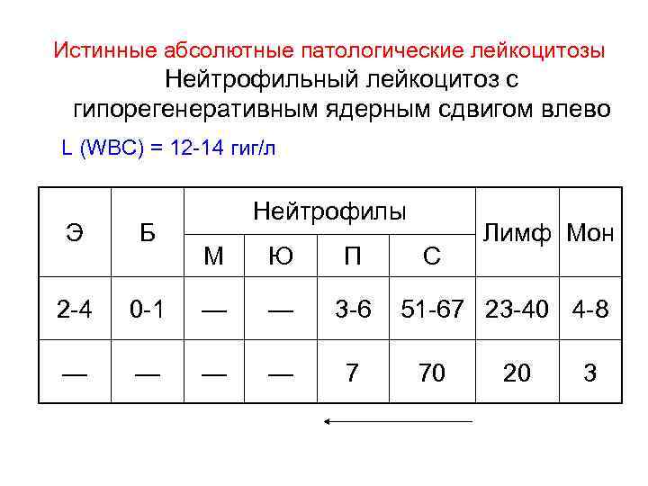 Истинные абсолютные патологические лейкоцитозы Нейтрофильный лейкоцитоз с гипорегенеративным ядерным сдвигом влево L (WBC) =