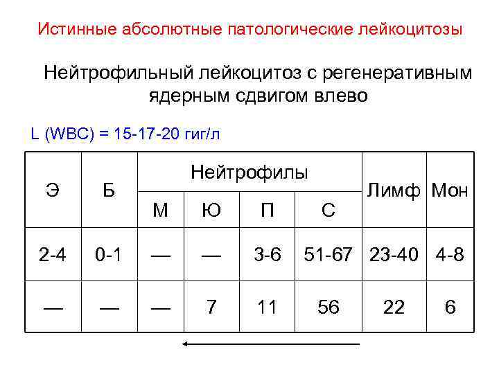 Истинные абсолютные патологические лейкоцитозы Нейтрофильный лейкоцитоз с регенеративным ядерным сдвигом влево L (WBC) =