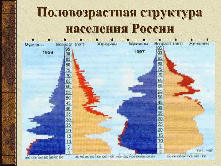 Половозрастная структура населения России 