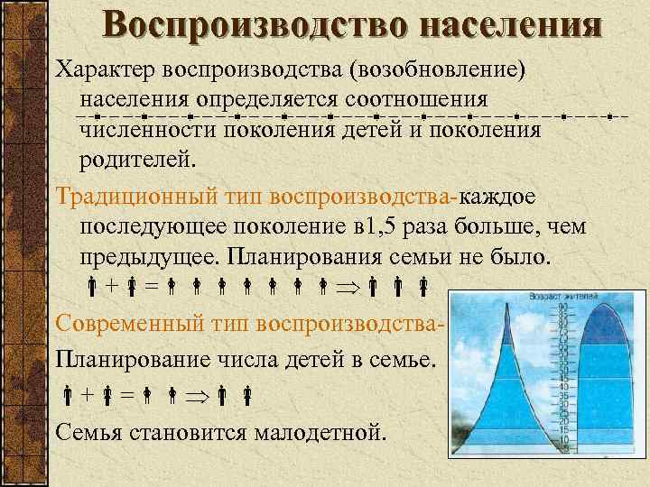 Воспроизводство населения Характер воспроизводства (возобновление) населения определяется соотношения численности поколения детей и поколения родителей.