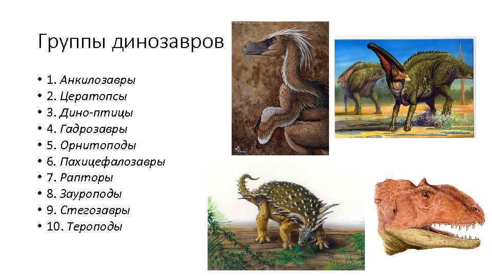 Группы динозавров • • • 1. Анкилозавры 2. Цератопсы 3. Дино-птицы 4. Гадрозавры 5.