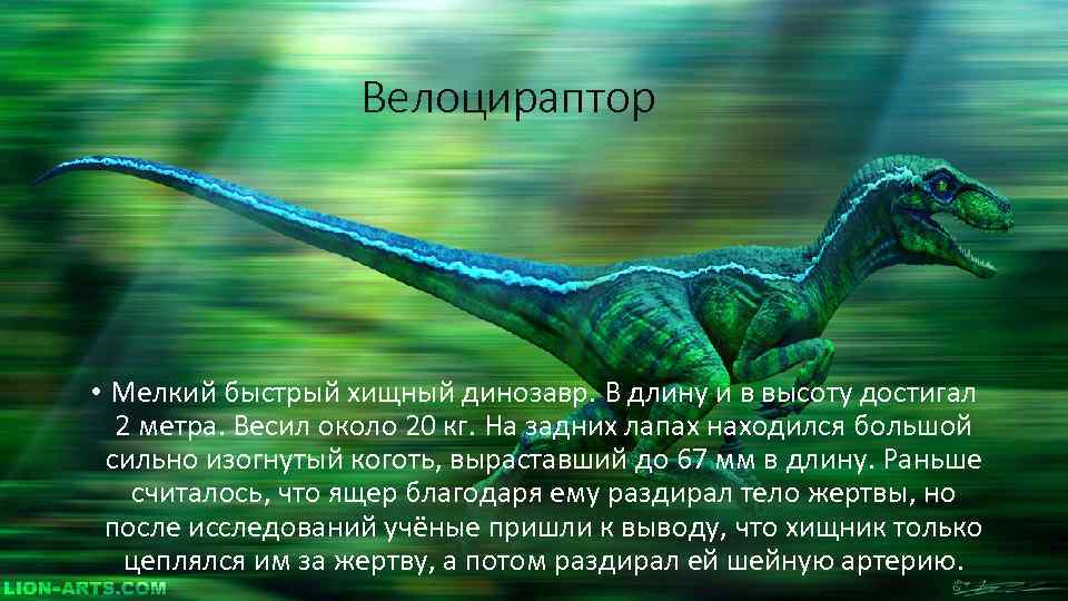 Велоцираптор • Мелкий быстрый хищный динозавр. В длину и в высоту достигал 2 метра.