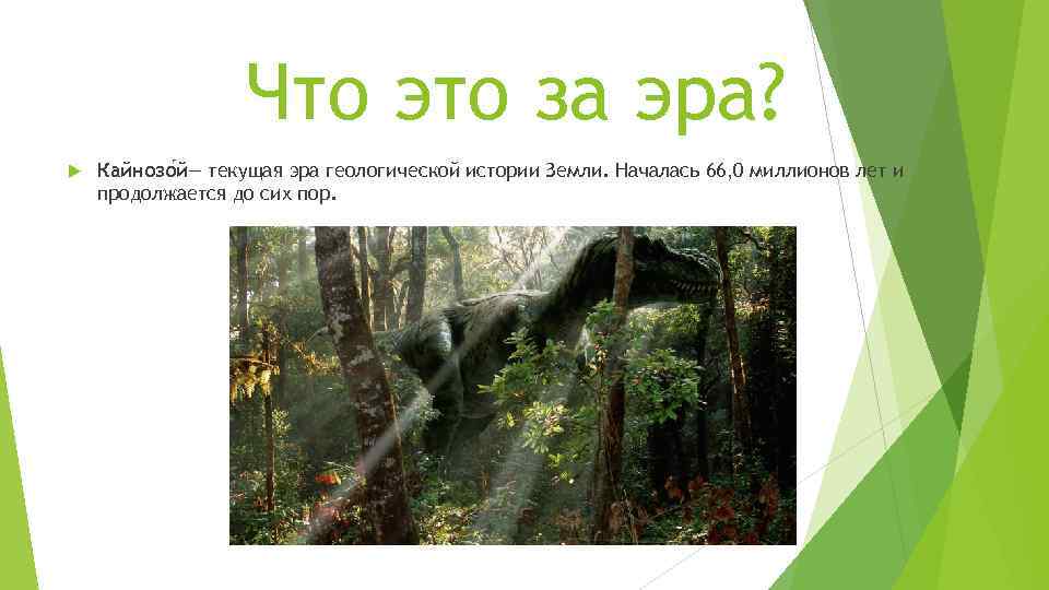 Что это за эра? Кайнозо й— текущая эра геологической истории Земли. Началась 66, 0