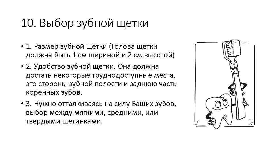 10. Выбор зубной щетки • 1. Размер зубной щетки (Голова щетки должна быть 1