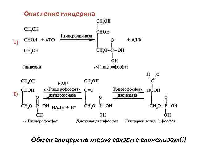 Окисление глицерина 1) 2) Обмен глицерина тесно связан с гликолизом!!! 