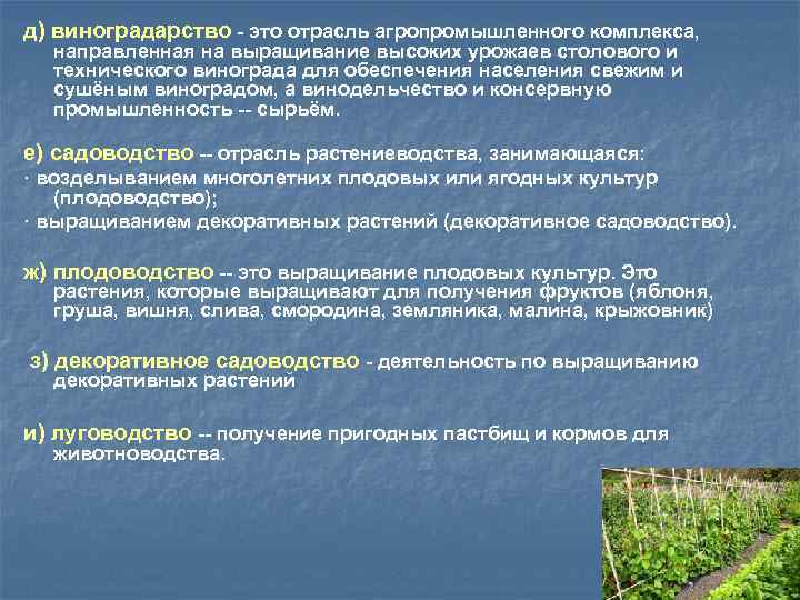 д) виноградарство - это отрасль агропромышленного комплекса, направленная на выращивание высоких урожаев столового и