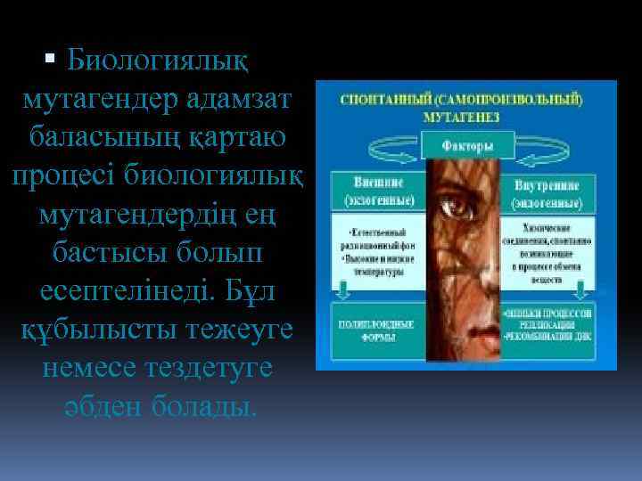  Биологиялық мутагендер адамзат баласының қартаю процесі биологиялық мутагендердің ең бастысы болып есептелінеді. Бұл