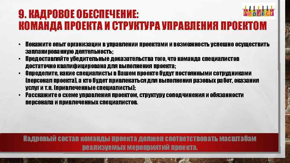 9. КАДРОВОЕ ОБЕСПЕЧЕНИЕ: КОМАНДА ПРОЕКТА И СТРУКТУРА УПРАВЛЕНИЯ ПРОЕКТОМ • Покажите опыт организации в