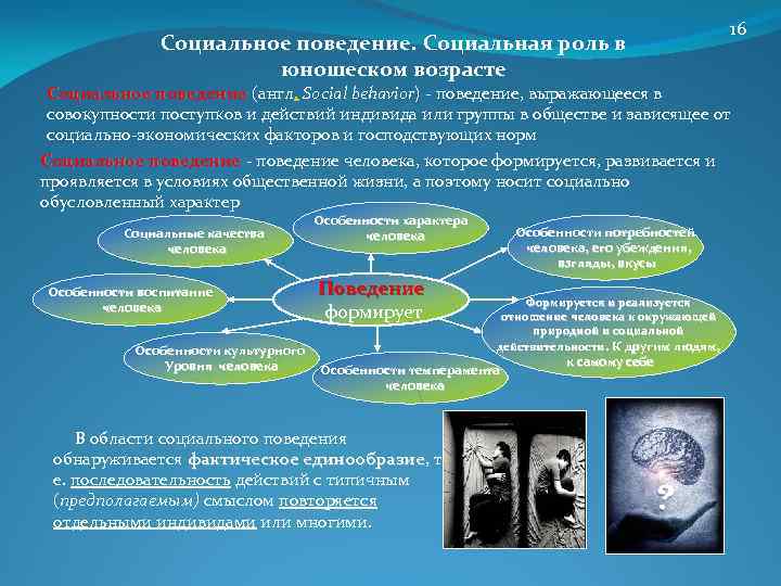 Социальное поведение и социальное взаимодействие