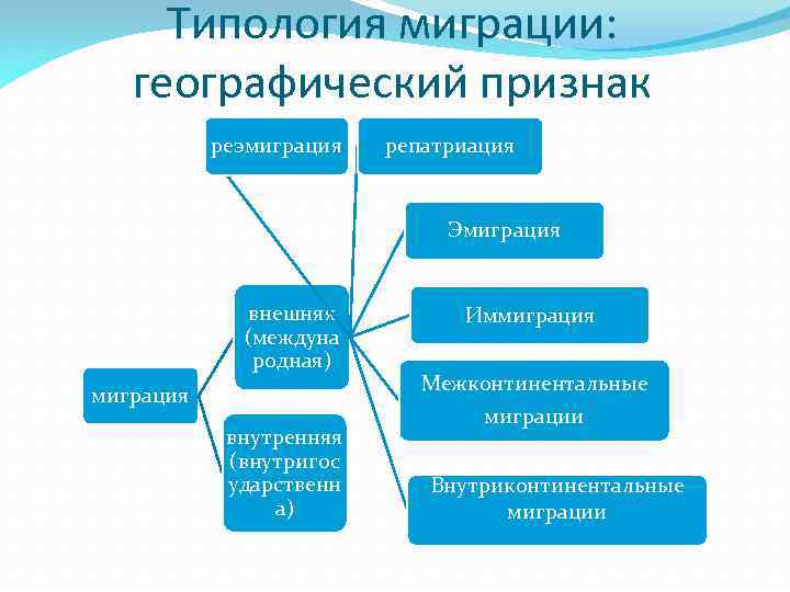 Составьте обобщающую схему виды миграций