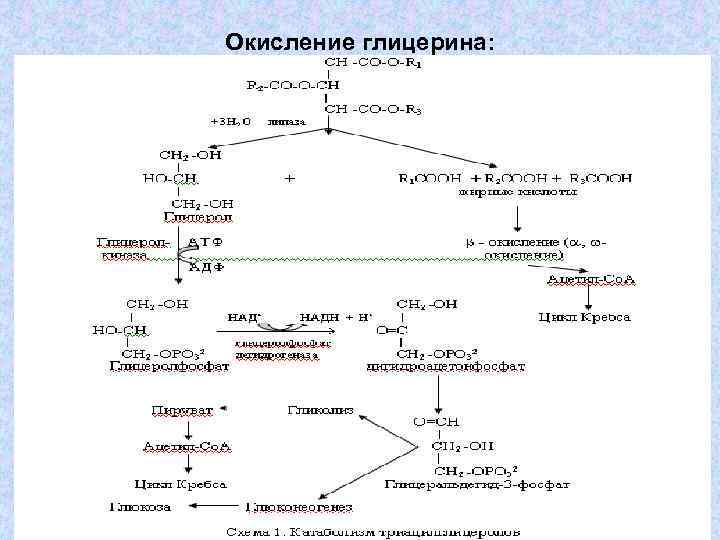 Реакция окисления глицерина