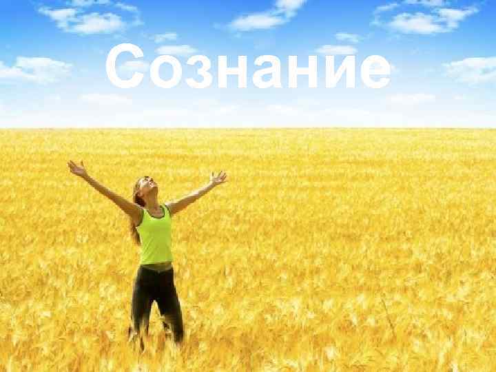 Сознание 