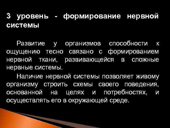 3 уровень - формирование нервной системы Развитие у организмов способности к ощущению тесно связано