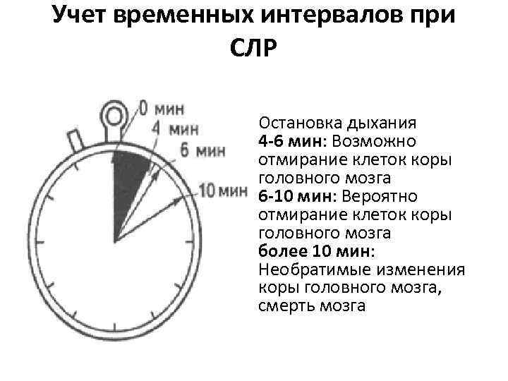 Учет временных интервалов при СЛР • • Остановка дыхания 4 -6 мин: Возможно отмирание