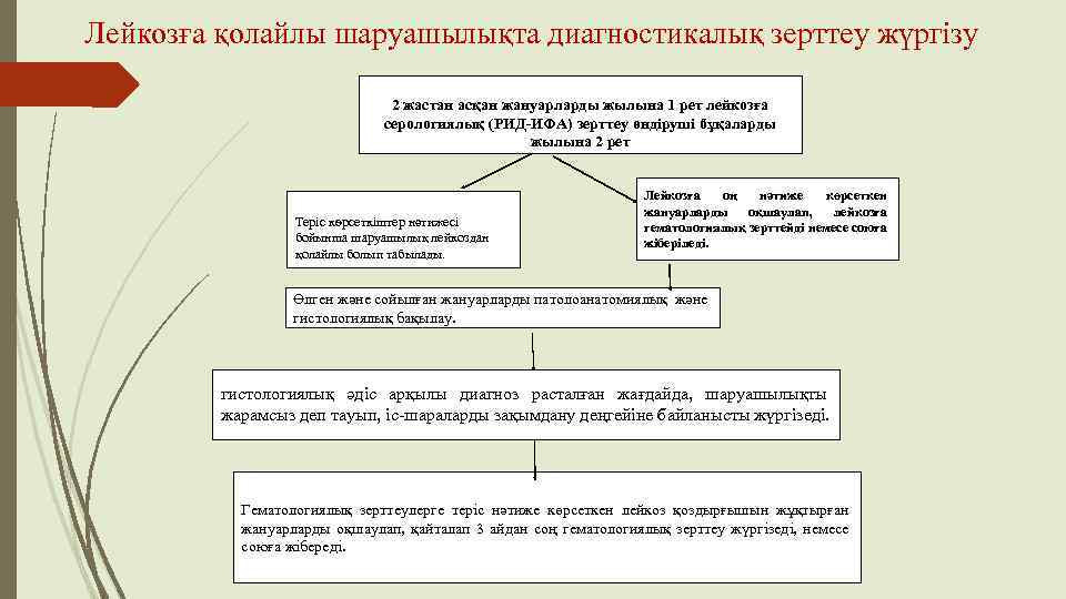 Лейкозға қолайлы шаруашылықта диагностикалық зерттеу жүргізу 2 жастан асқан жануарларды жылына 1 рет лейкозға