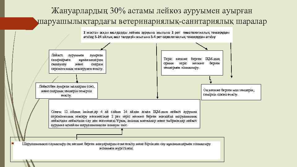 Жануарлардың 30% астамы лейкоз ауруымен ауырған шаруашылықтардағы ветеринариялық-санитариялық шаралар 2 жастан асқан малдарды лейкоз