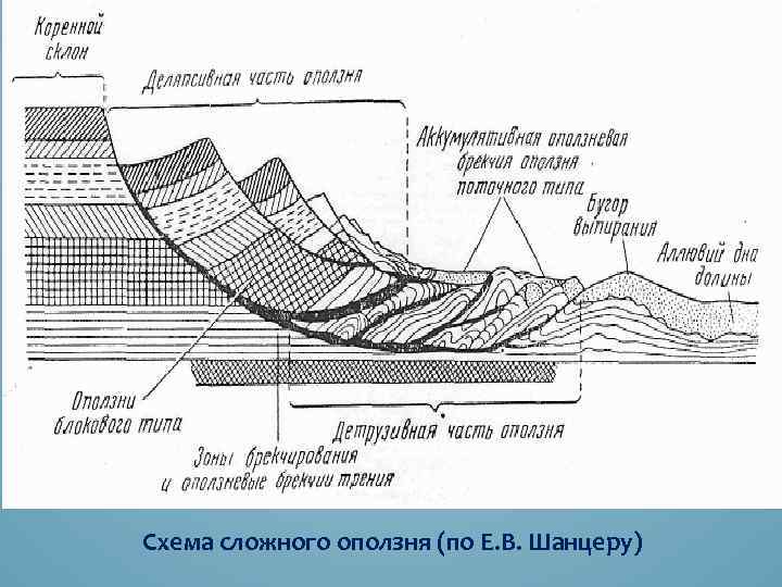 Схема сложного оползня (по Е. В. Шанцеру) 
