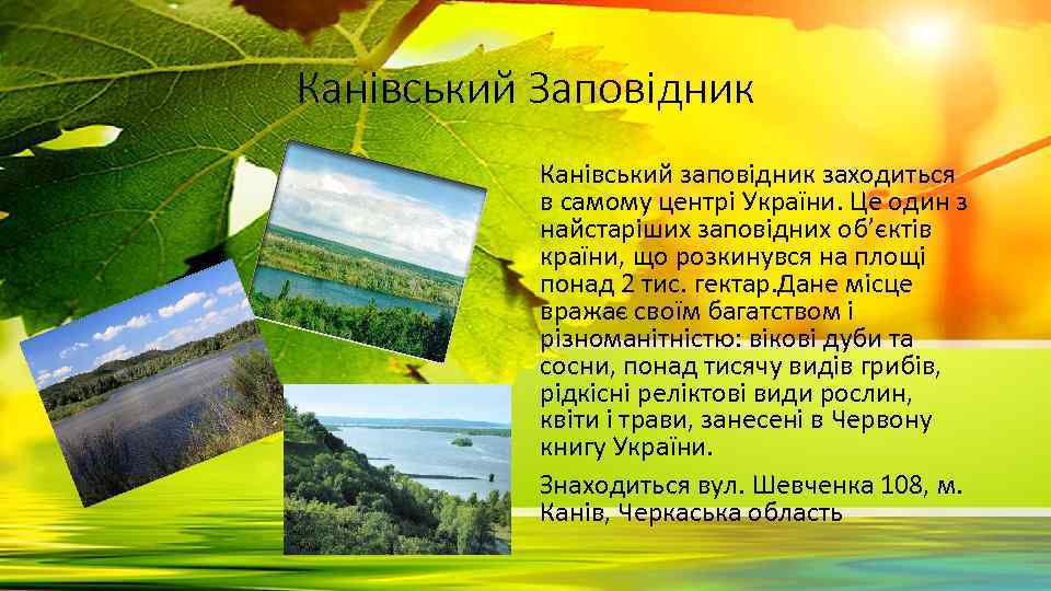 Канівський Заповідник Канівський заповідник заходиться в самому центрі України. Це один з найстаріших заповідних