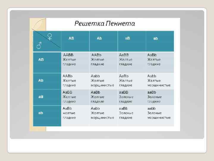 Схема построения решетки пеннета