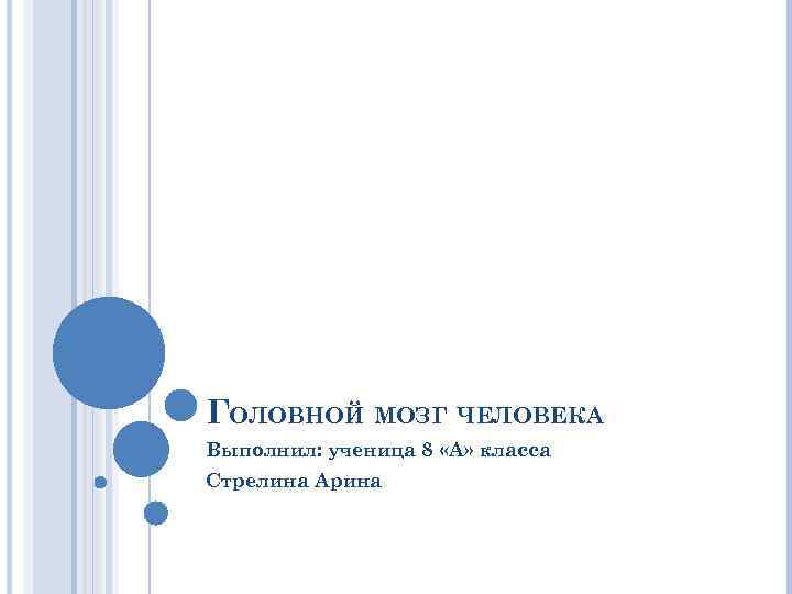 ГОЛОВНОЙ МОЗГ ЧЕЛОВЕКА Выполнил: ученица 8 «А» класса Стрелина Арина 