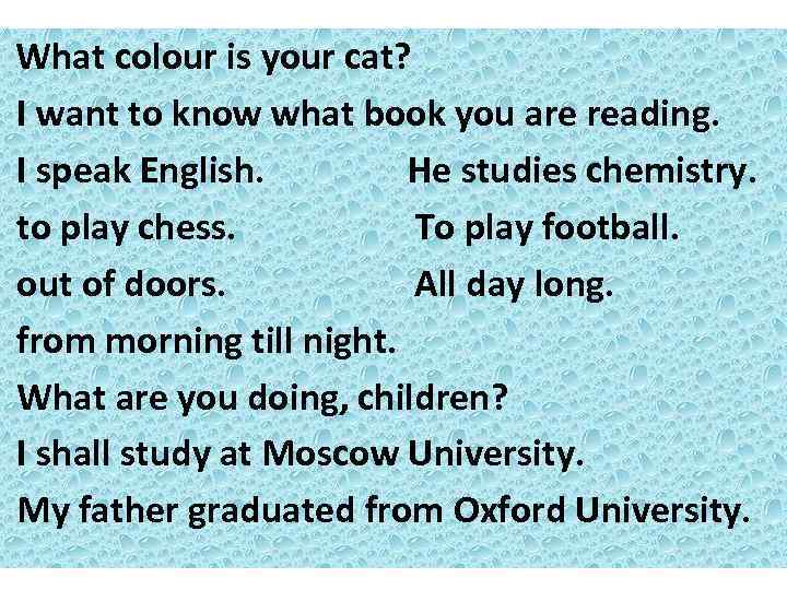 What colour is your cat? I want to know what book you are reading.